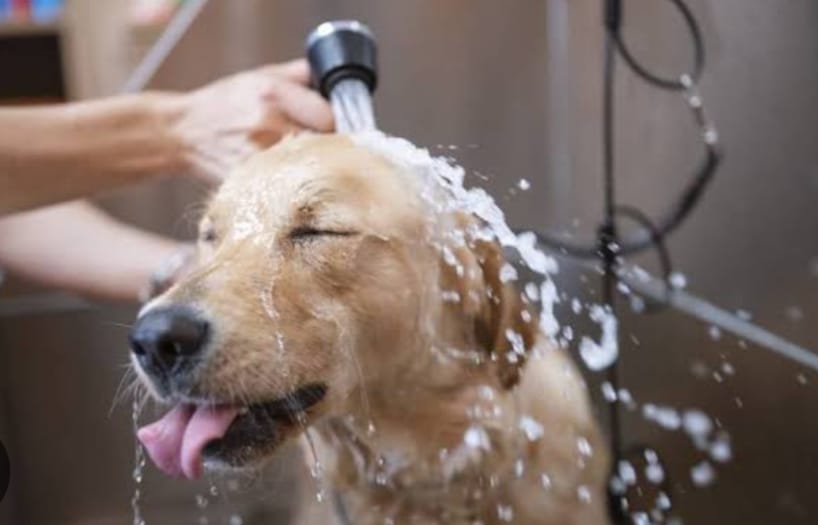 WhatsApp Image 2025-08-29 at 15.59.05 (1).jpeg